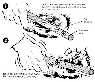 Tindak Balas Geseran.